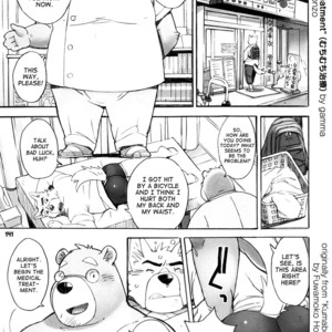 [Fuwamoko Honpo (gamma)] Muchimuchi Chiryou | The Chubby Treatment (Kumabon San) [Eng] – Gay Comics
