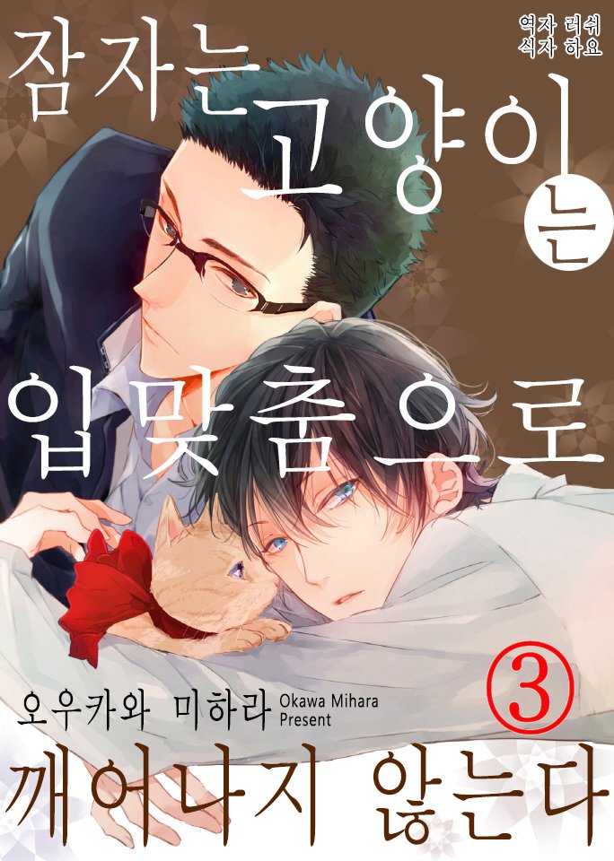 [Okawa Mihara] nemurineko wa kuchidukede mioboenai [kr] — 147