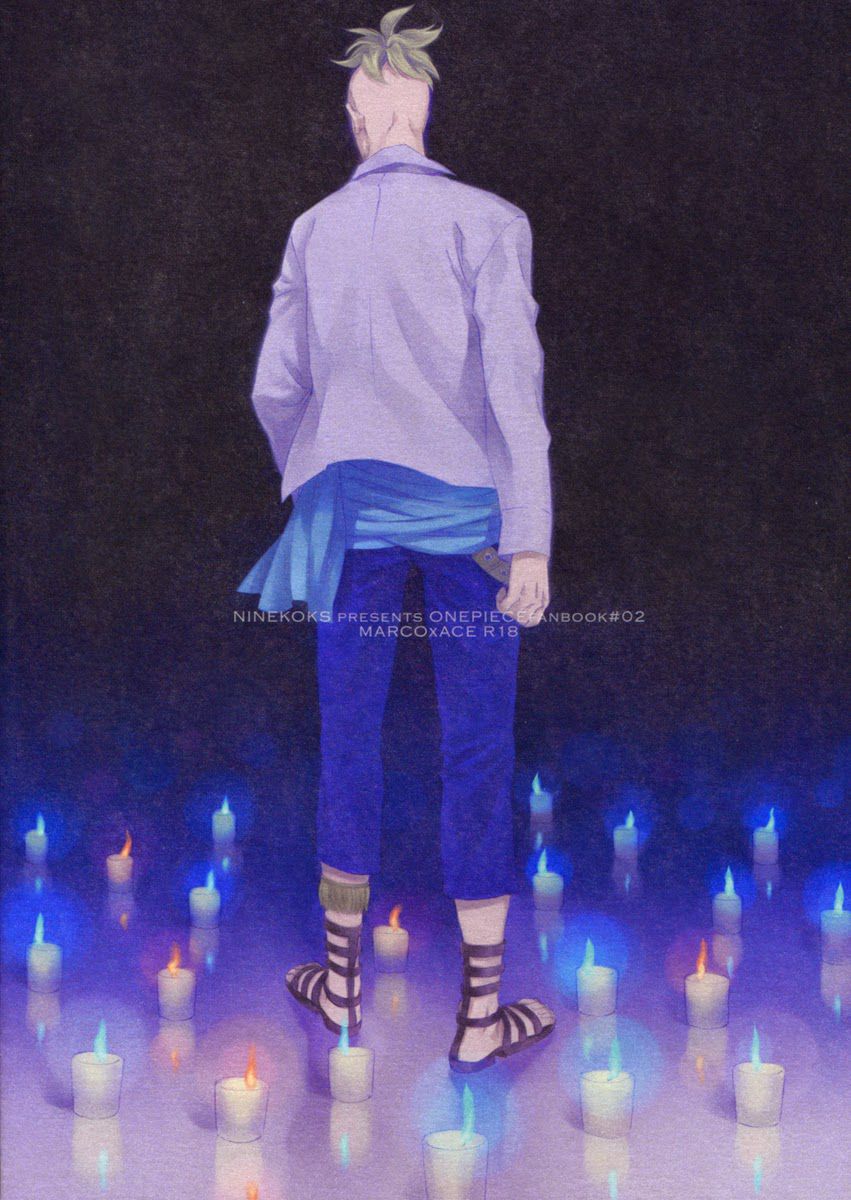 [NINEKOKS (Kyuugou)] One Piece dj – Torch [kr] — 003