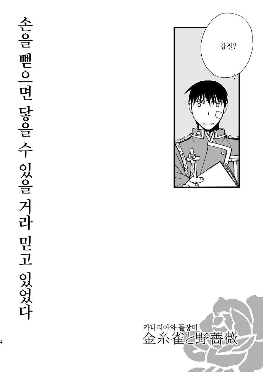[OHIRUNENYANKO/ Rakia Sakaki] Wild rose and the Canary – Fullmetal Alchemist dj [kr] — 004