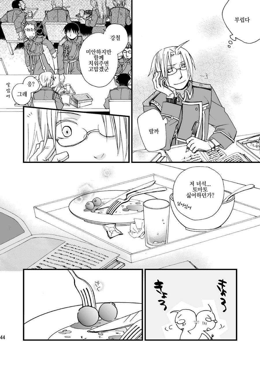 [OHIRUNENYANKO/ Rakia Sakaki] Wild rose and the Canary – Fullmetal Alchemist dj [kr] — 044