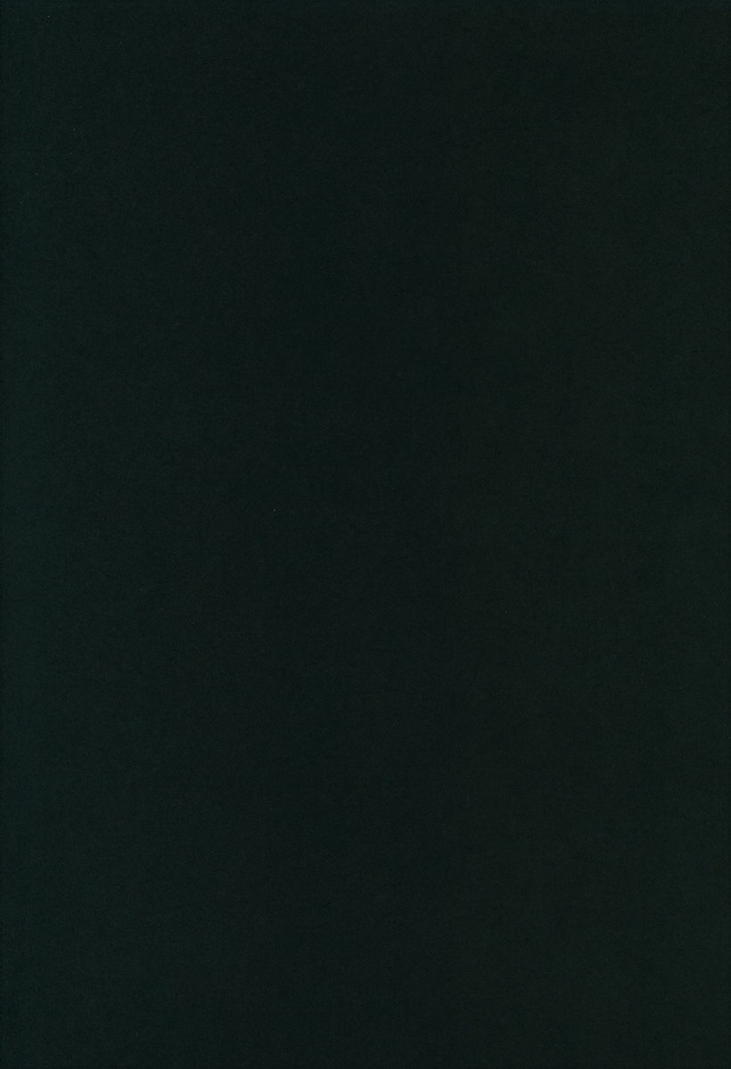 [Nikka] YuuVic Mob Rape – Yuri on Ice dj [JP] — 010