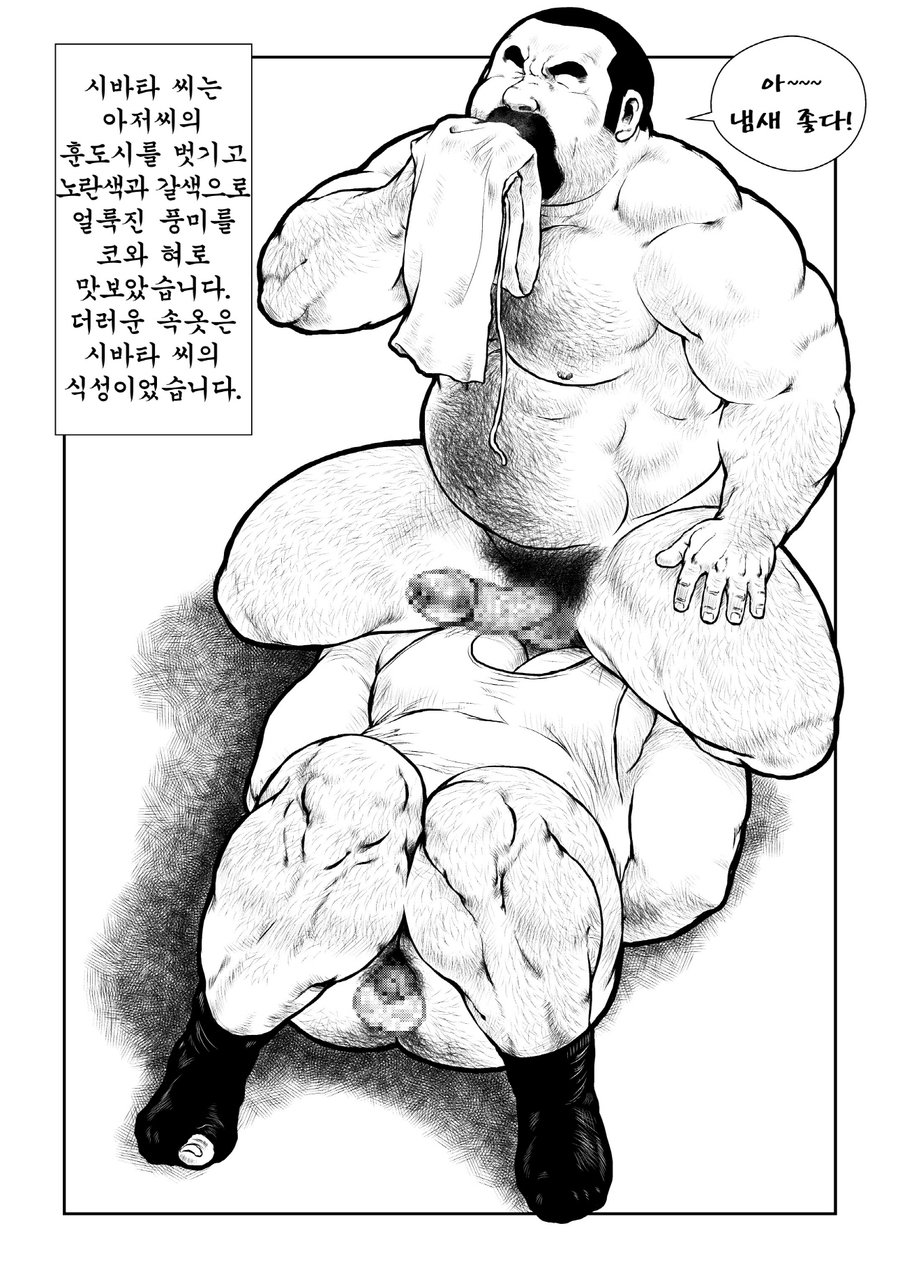[Seizou Ebisubashi] Shibata and Tanuki [kr] — 012