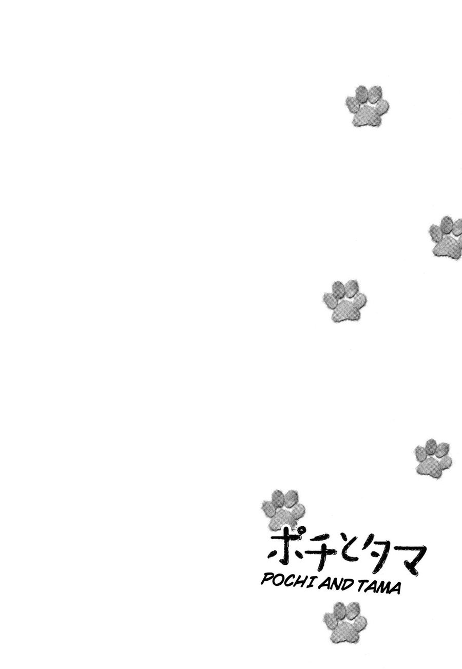[SHUUSAI Fumiko] Pochi to Tama [Eng] — 165