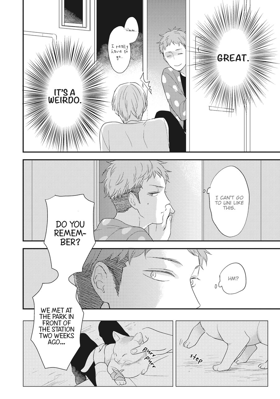 [KO] Kimagure Goshujin To Oshikake Neko (update c.6) [Eng] — 006