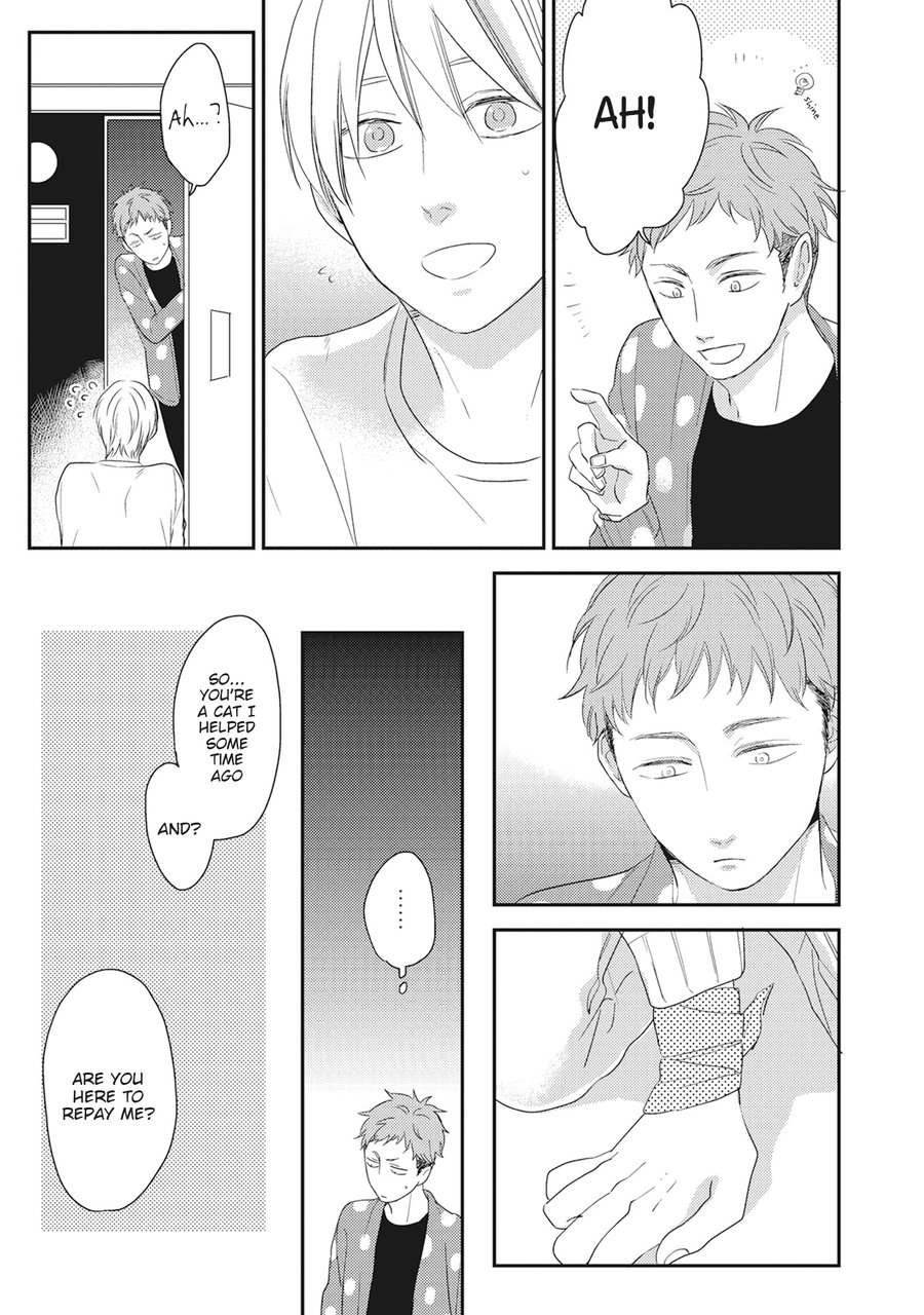[KO] Kimagure Goshujin To Oshikake Neko (update c.6) [Eng] — 007