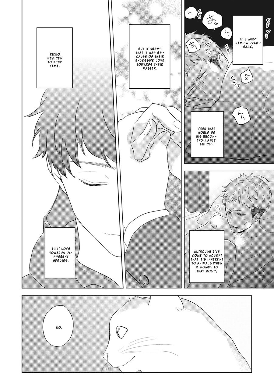 [KO] Kimagure Goshujin To Oshikake Neko (update c.6) [Eng] — 090