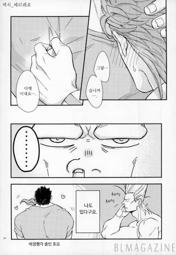 [Kunifusa] A message of love J · P · Polnareff – Jojo dj [kr] — 015