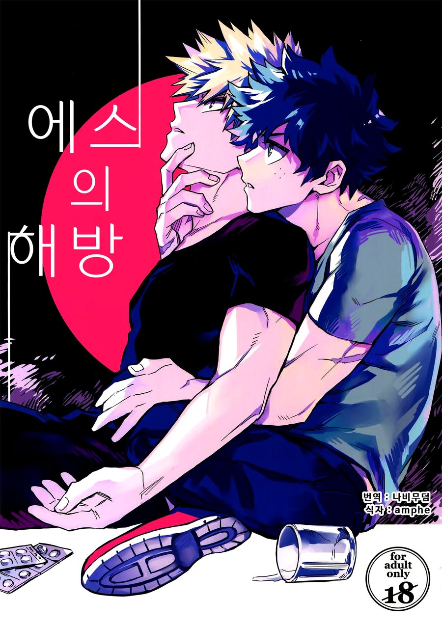 [Kometsubu] Esu no Kaihou – Boku no Hero Academia dj [kr] — 001
