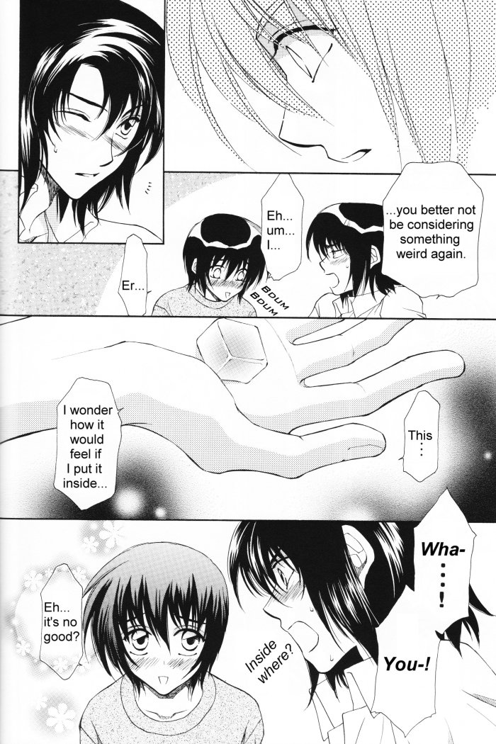 [Yougekishu (Arina Toshimi)] Charm – Kidou Senshi Gundam SEED dj [Eng] — 009