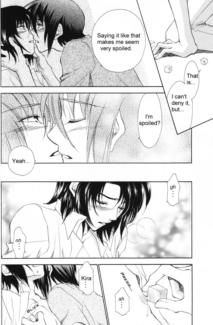 [Yougekishu (Arina Toshimi)] Charm – Kidou Senshi Gundam SEED dj [Eng] — 011