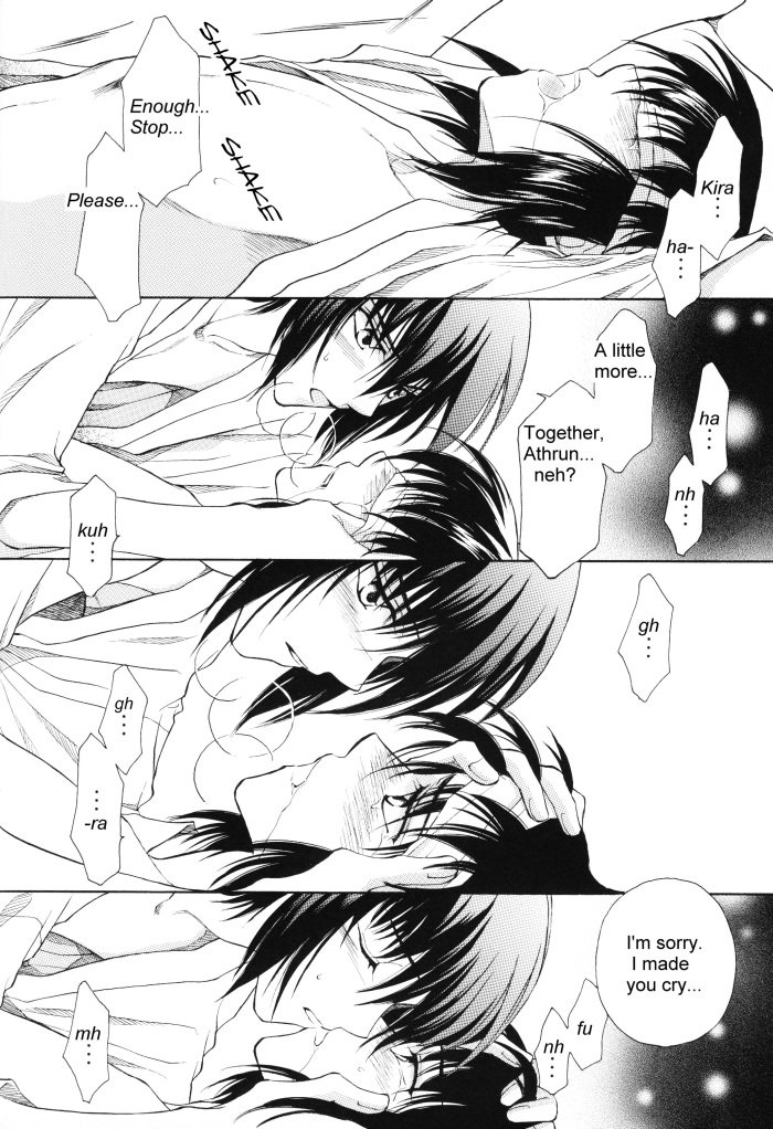 [Yougekishu (Arina Toshimi)] sweet honey moon – Gundam SEED DESTINY dj [Eng] — 023