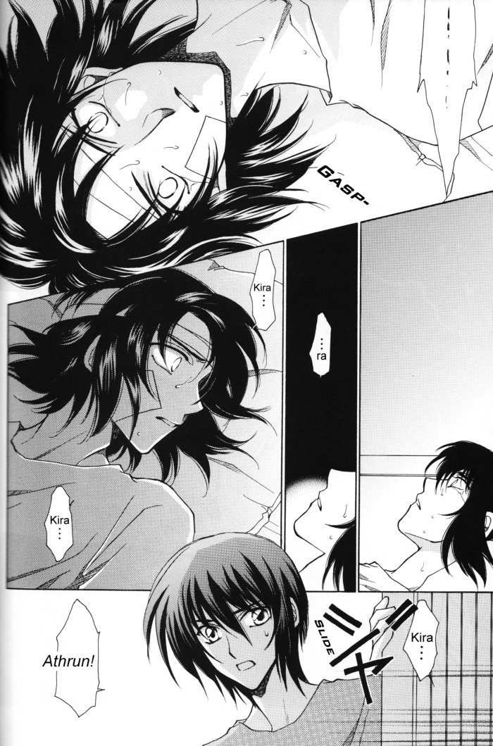 [Yougekishu (Arina Toshimi)] Shakunetsu – Gundam SEED DESTINY dj [Eng] — 007