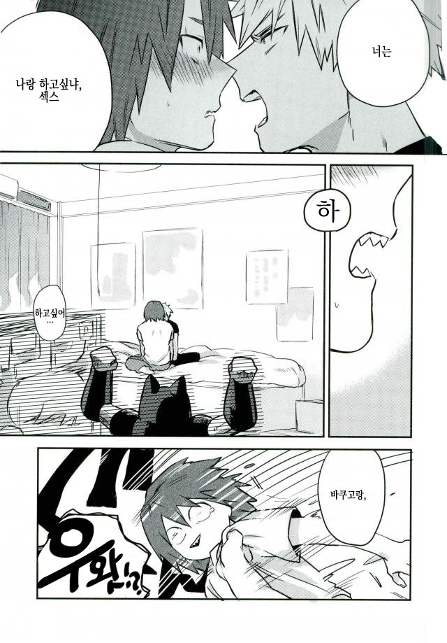 [KAPPA] Miracle wo kimi to okoshitaindesu – Boku no Hero Academia dj [kr] — 014