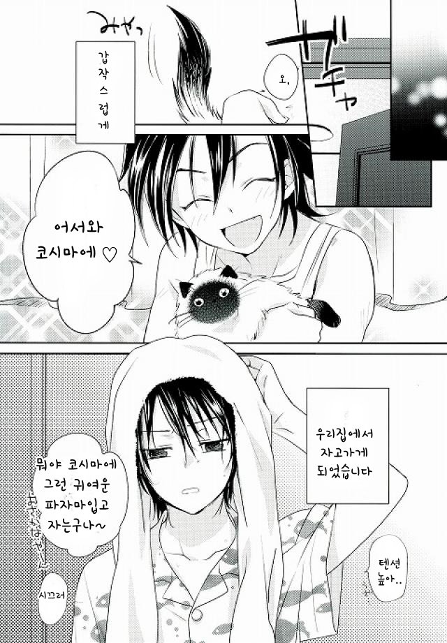 [potty] rookies no rinkaku – Prince of Tennis dj [kr] — 005