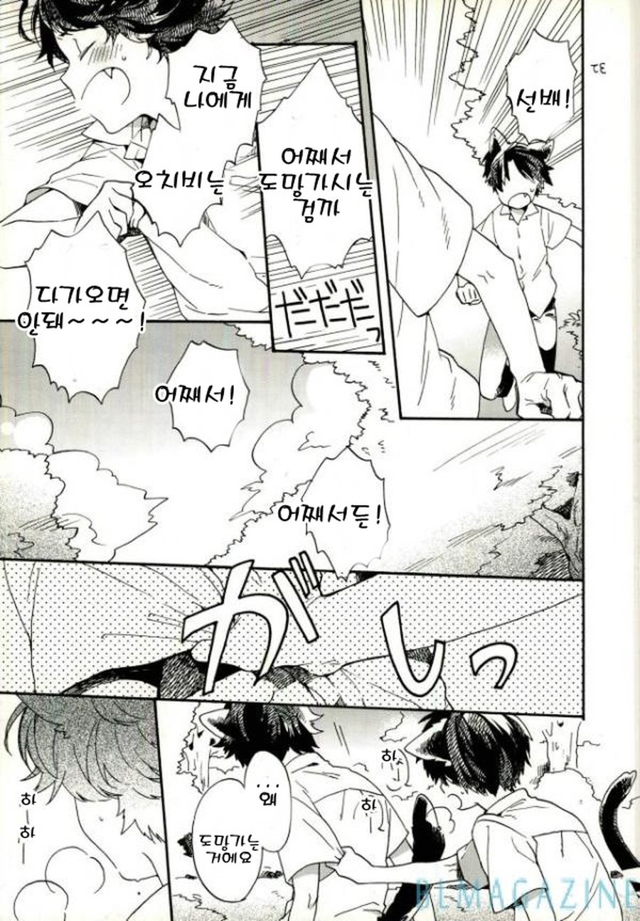 [camellia&ksuga] Neco Ni Matatabi – Prince of Tennis dj [kr] — 003