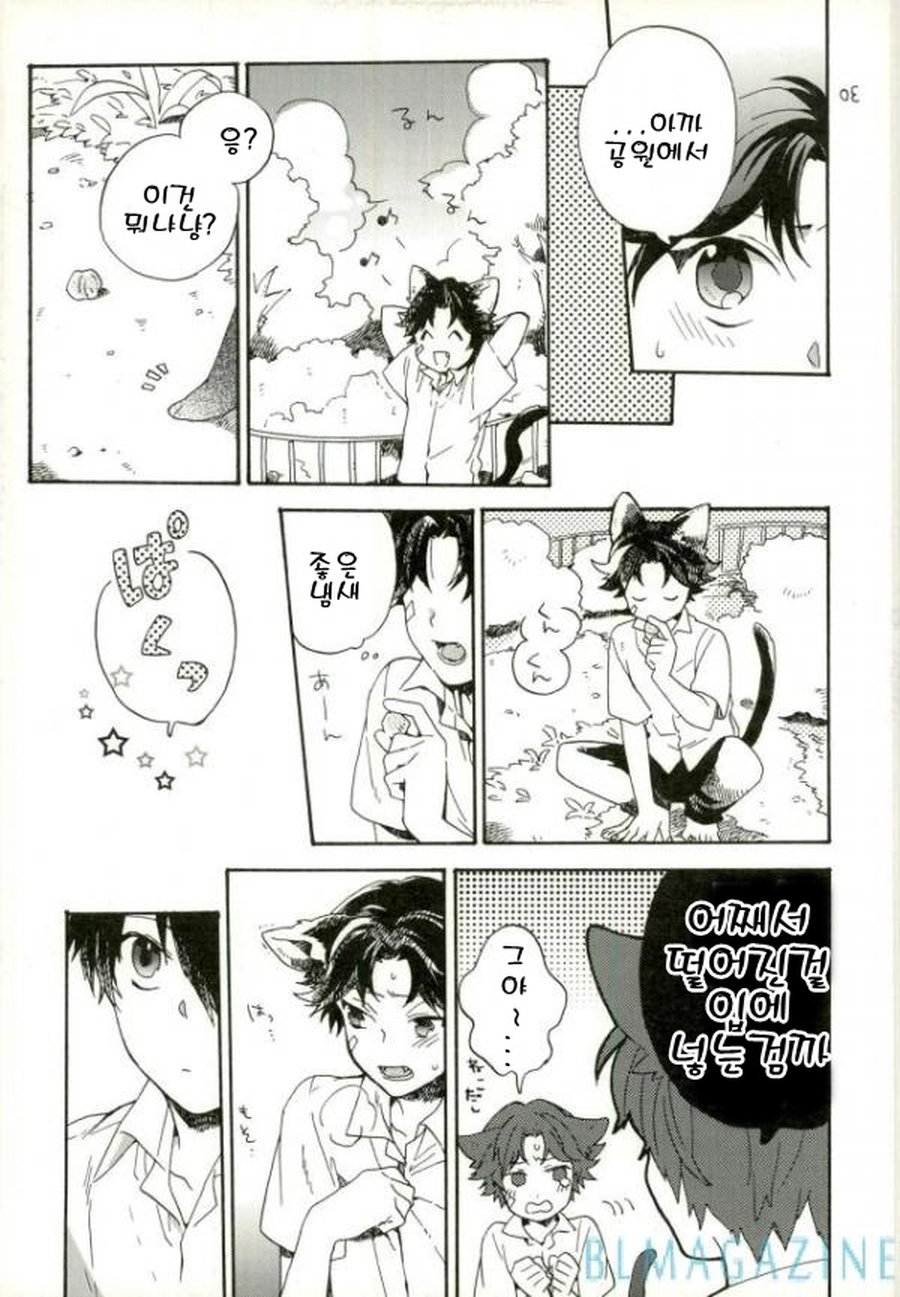 [camellia&ksuga] Neco Ni Matatabi – Prince of Tennis dj [kr] — 005