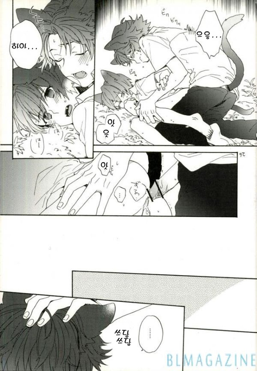 [camellia&ksuga] Neco Ni Matatabi – Prince of Tennis dj [kr] — 009