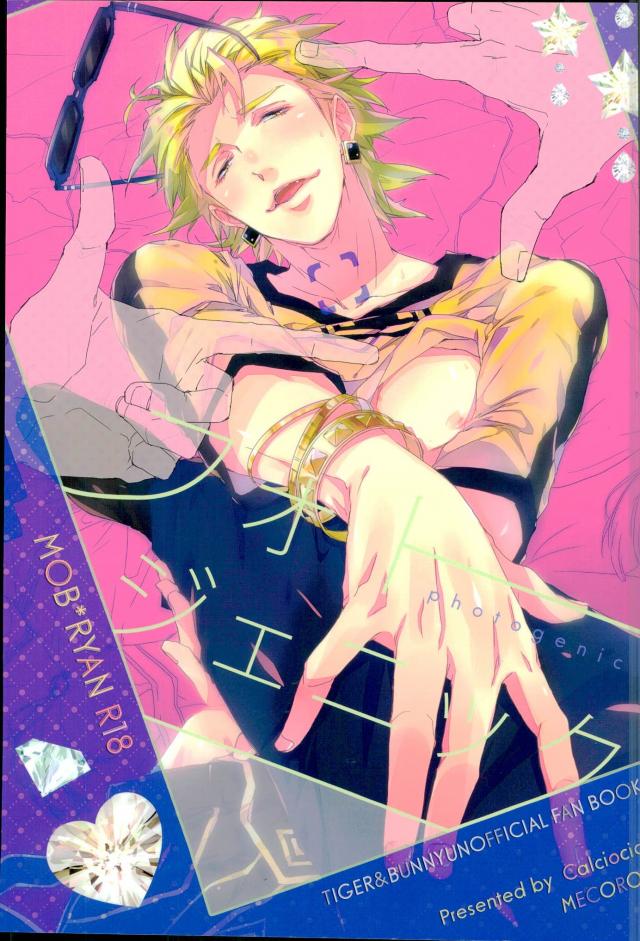 [Calciocio , meco (Umasaka)] Photogenic – Tiger & Bunny dj [JP] — 001