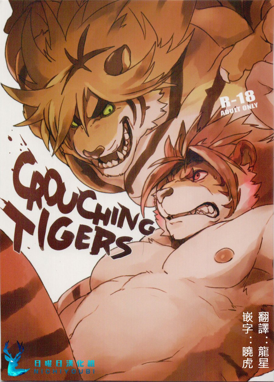 [Senmatu-Chaya (Kamado)] CROUCHING TIGERS – Tokyo Afterschool Summoners dj [cn] — 001