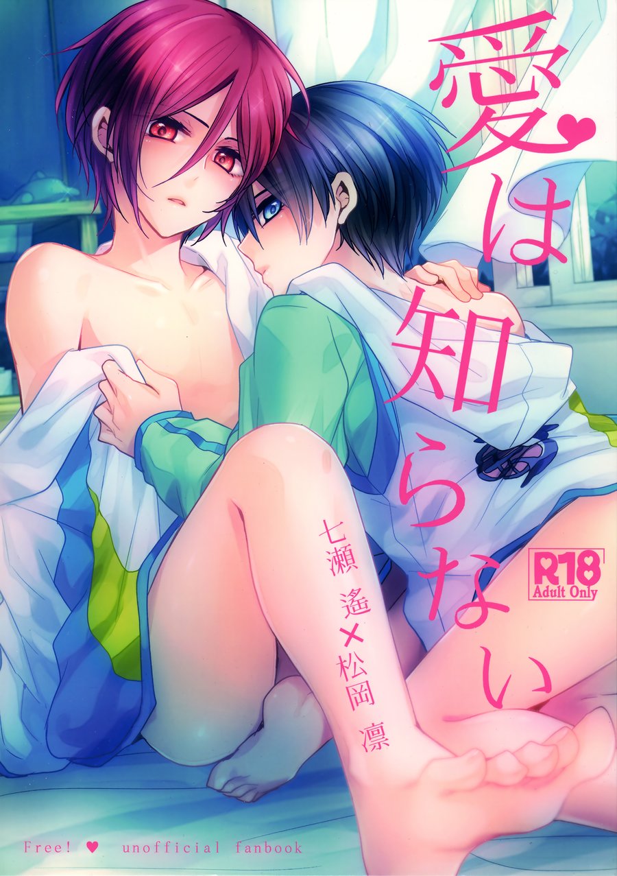[Dolce Einsatz (Tomoe Kiko)] Ai wa Shiranai – Free! dj [JP] — 001