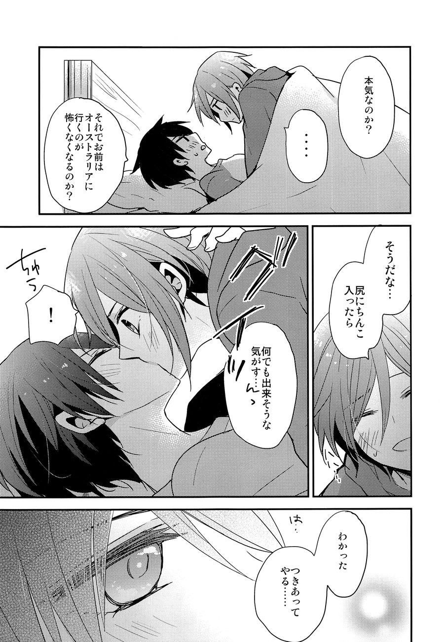 [Dolce Einsatz (Tomoe Kiko)] Ai wa Shiranai – Free! dj [JP] — 014