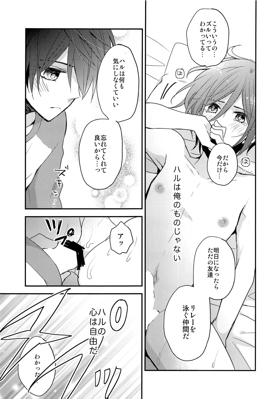[Dolce Einsatz (Tomoe Kiko)] Ai wa Shiranai – Free! dj [JP] — 022