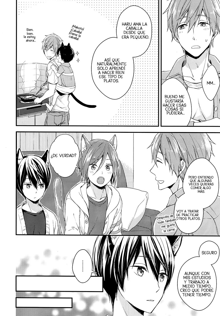 [Overrunner (Rihara)] Free! dj – Kittens on Parade [Esp] — 005