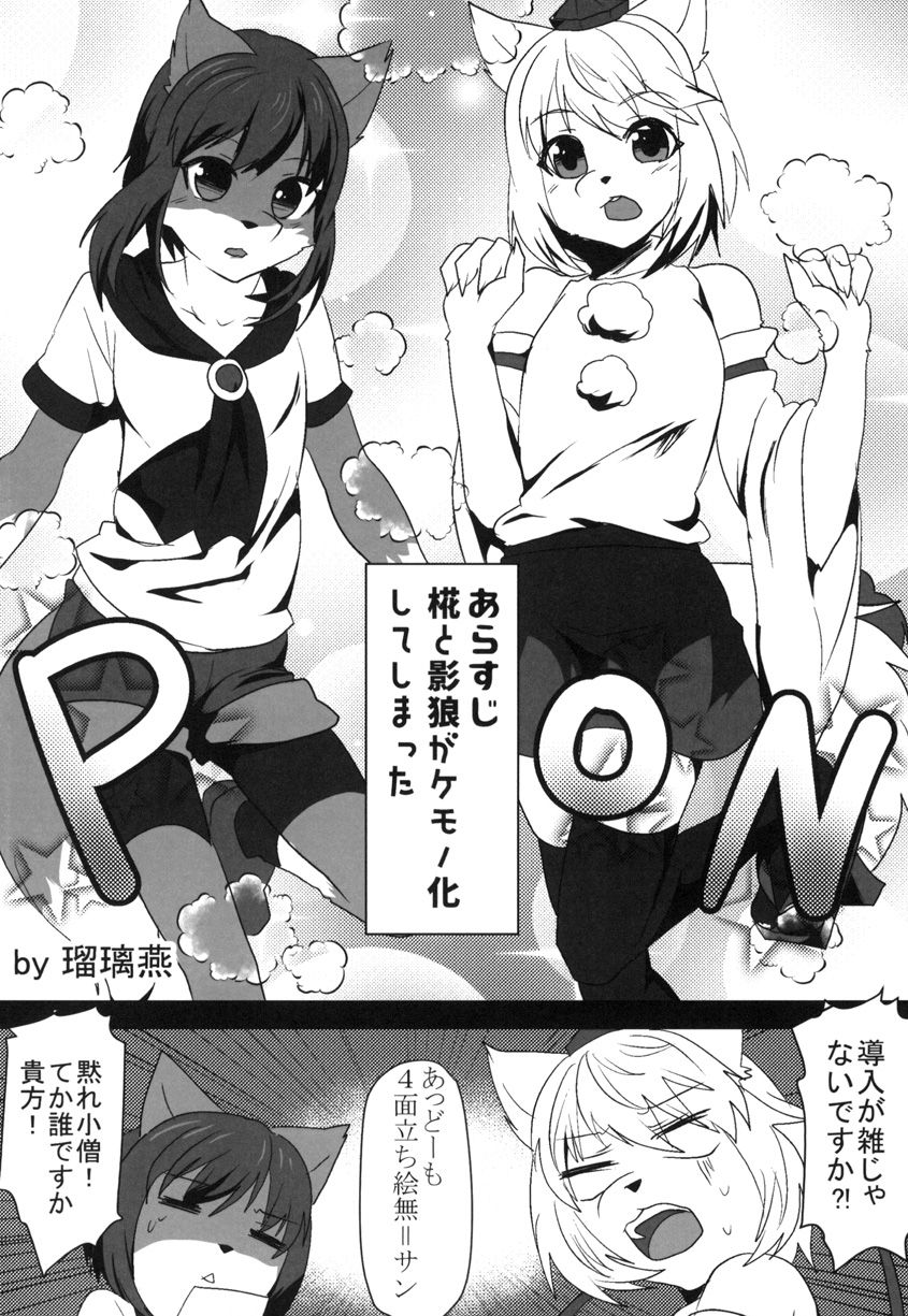 [Kimuchi-Tei (Ruri Tsubame)] Shadow Wolf♂ [JP] — 004