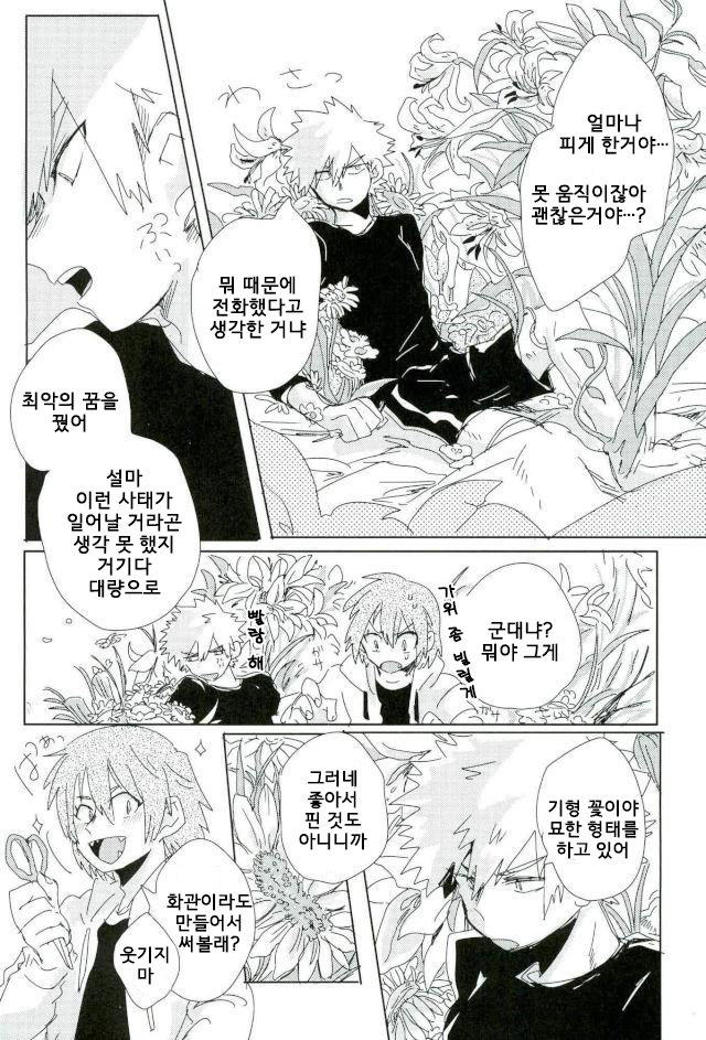 Flowering bomb – My hero academia dj [kr] — 013