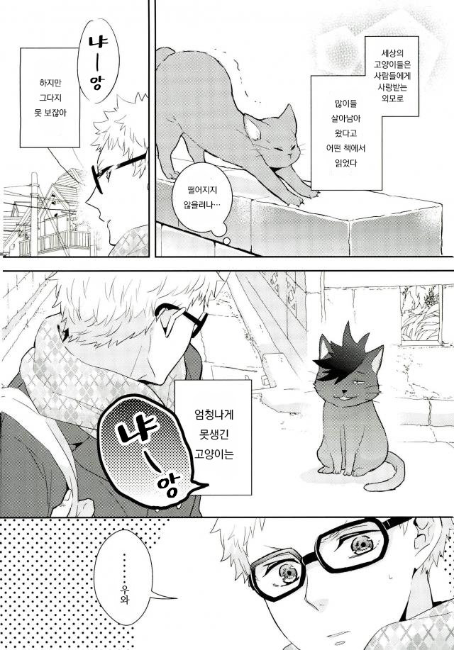 [CARBON-14] Honzitu Necomimi – haikyuu!! [kr] — 003