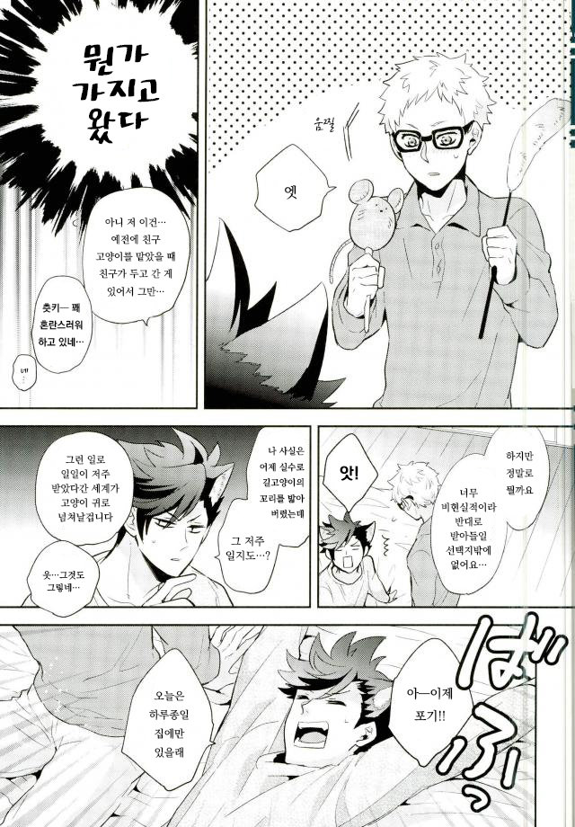 [CARBON-14] Honzitu Necomimi – haikyuu!! [kr] — 010