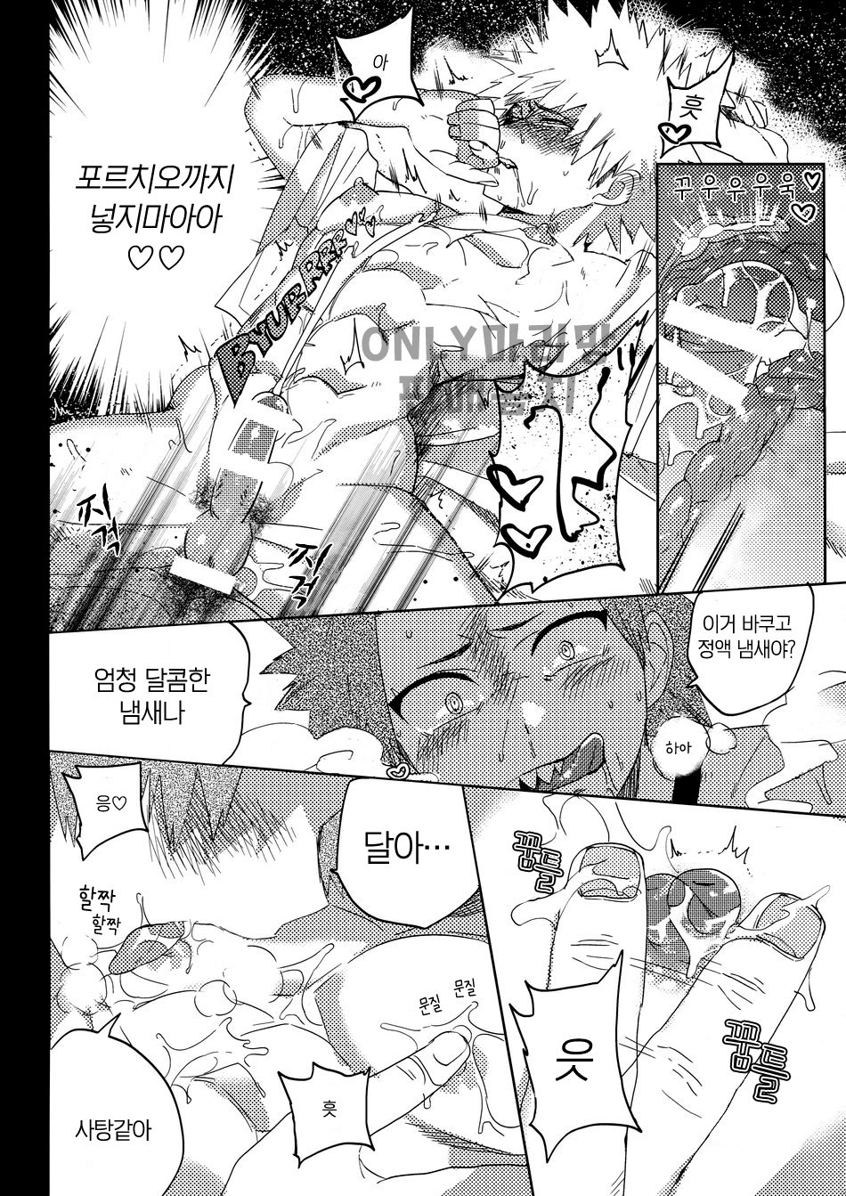 [SCO.LABO (shoco)] Tate Meal – Boku no Hero Academia dj [kr] — 013