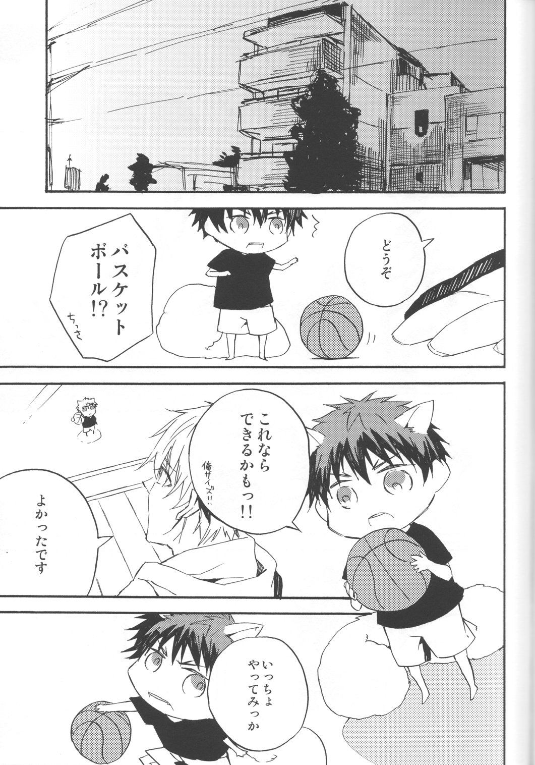 [Bijitsuka. (Aikana)] Kuroko no Basuke dj – Risu-min to Issho [JP] — 017