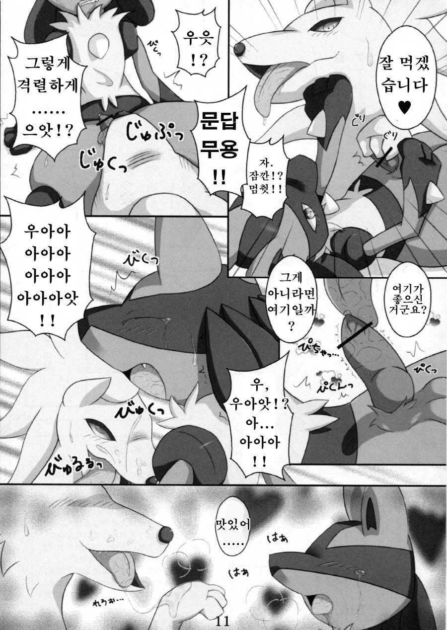 [Cirmonoid (Various)] Dousei Juuai Izonshou – Pokémon dj [kr] — 012