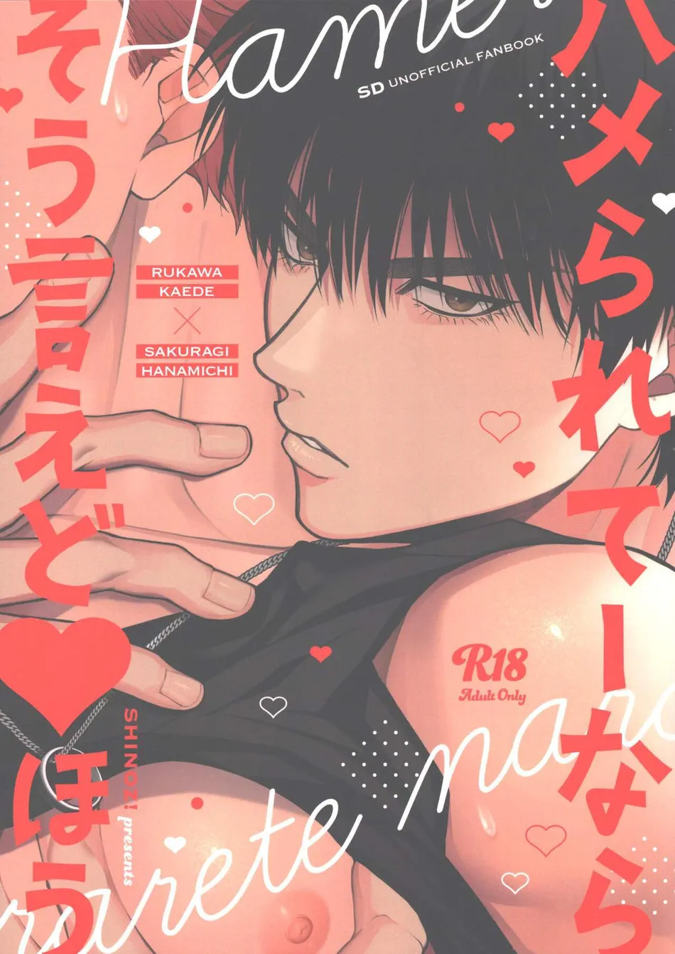 [SHINOZ! (Shinozaki Kyoko)] Hamerarete nara Sou Ie Doahou – Slam Dunk dj [Eng] — 001