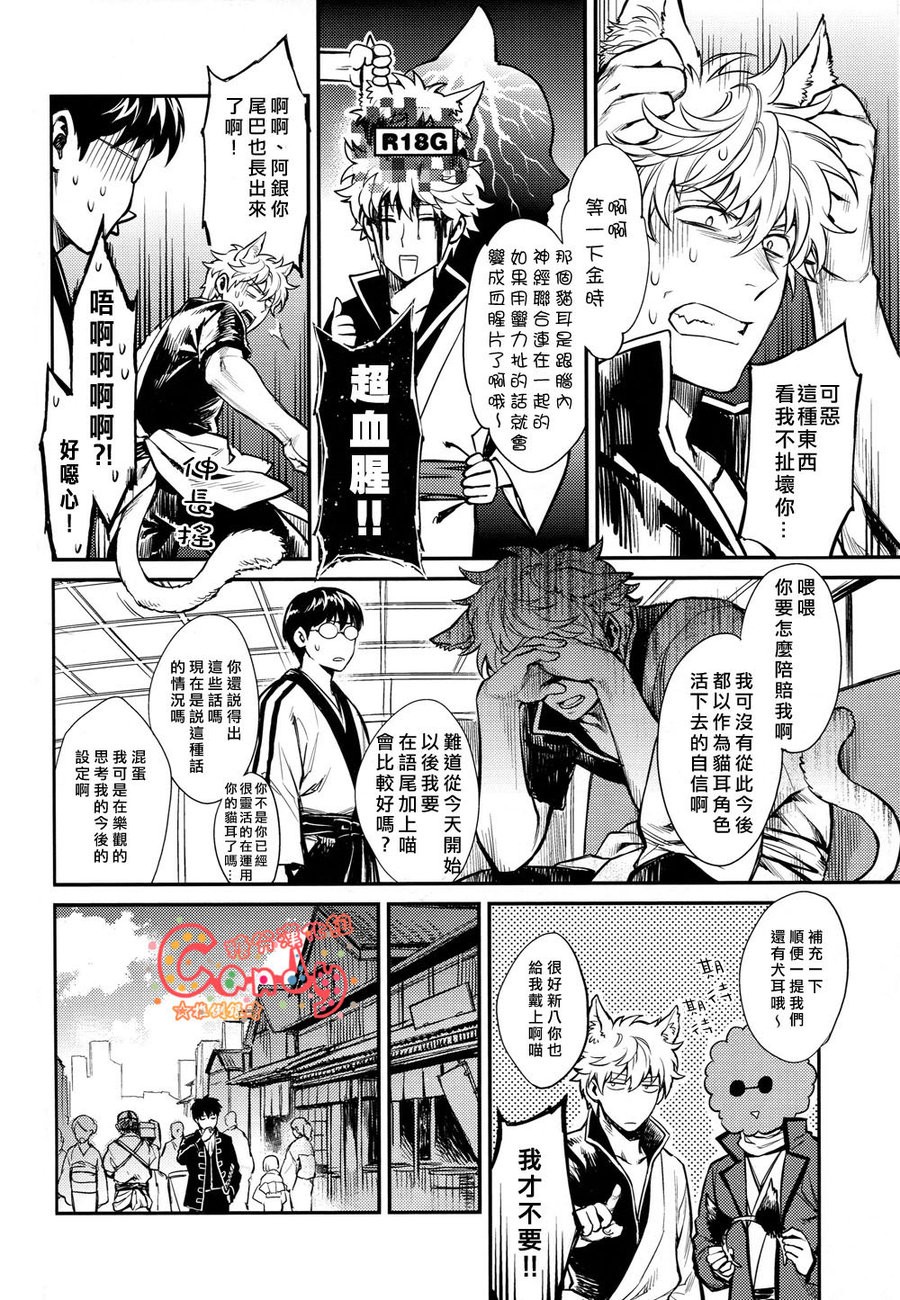 [3745HOUSE] Like Cat and Dog – Gintama dj [chinese] — 007