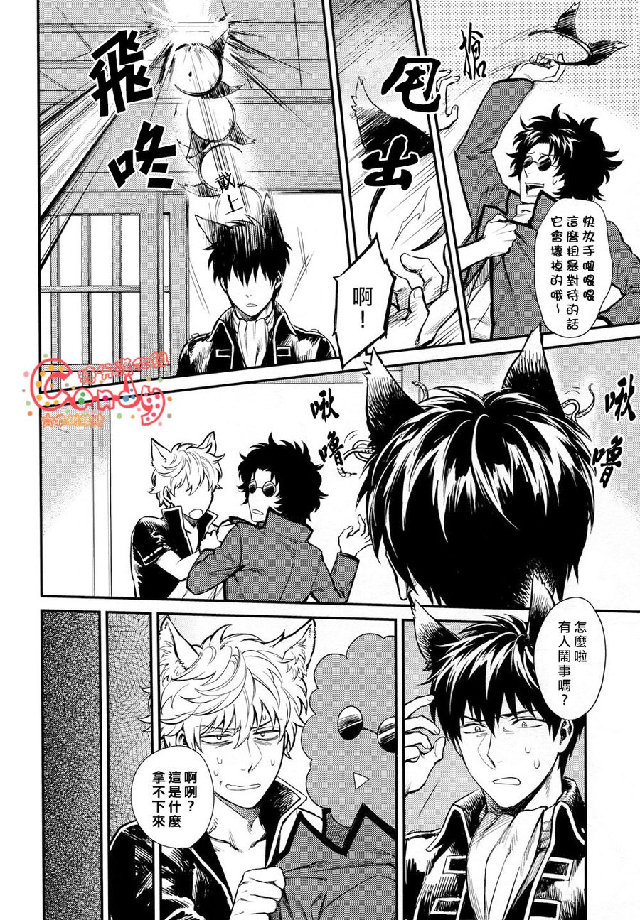 [3745HOUSE] Like Cat and Dog – Gintama dj [chinese] — 009