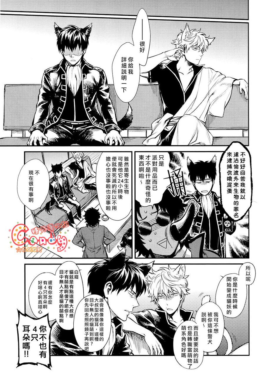 [3745HOUSE] Like Cat and Dog – Gintama dj [chinese] — 010