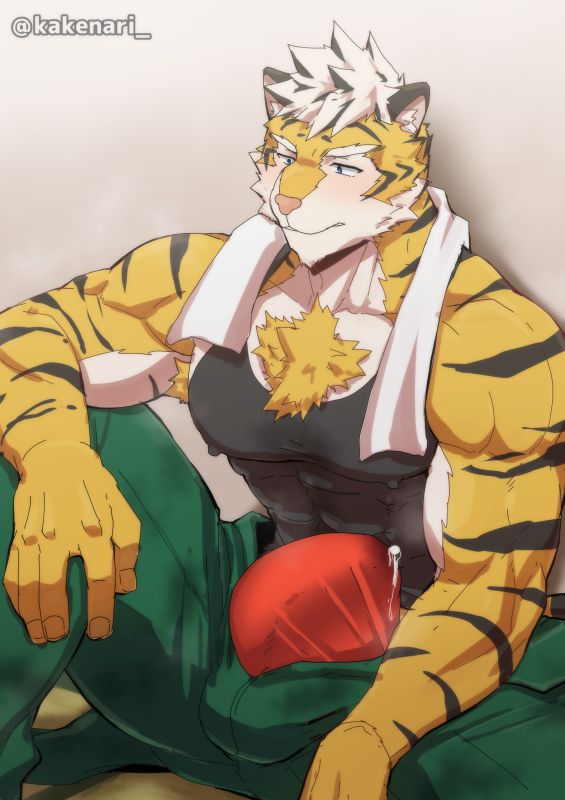 [PULIN Nabe (kakenari)] kakenari♂1808♂ — 036