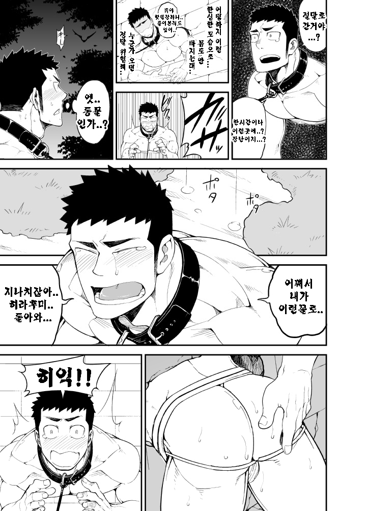 [anything (naop)] capture 2 [kr] — 020
