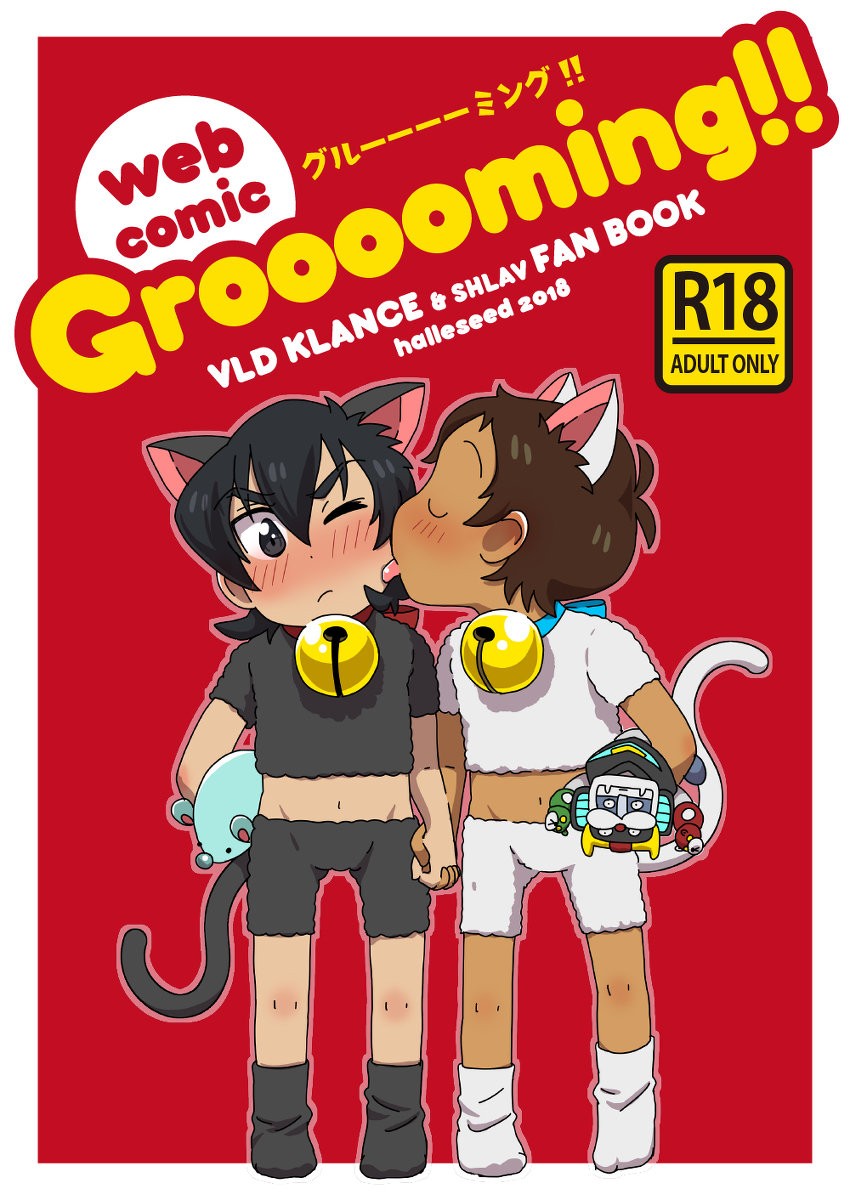 [halleseed] Grooooming! – Voltron Legendary Defenders dj [Eng] — 001