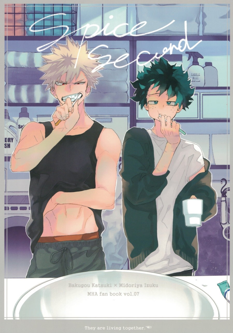 [dokosahekisaensan (aroe)] spice second – Boku no Hero Academia dj [Kr] — 001