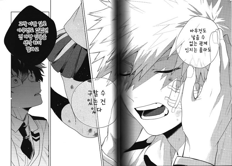 [Huzaiyumoto] shinjitusno aiwo – Boku no Hero Academia dj [kr] — 049