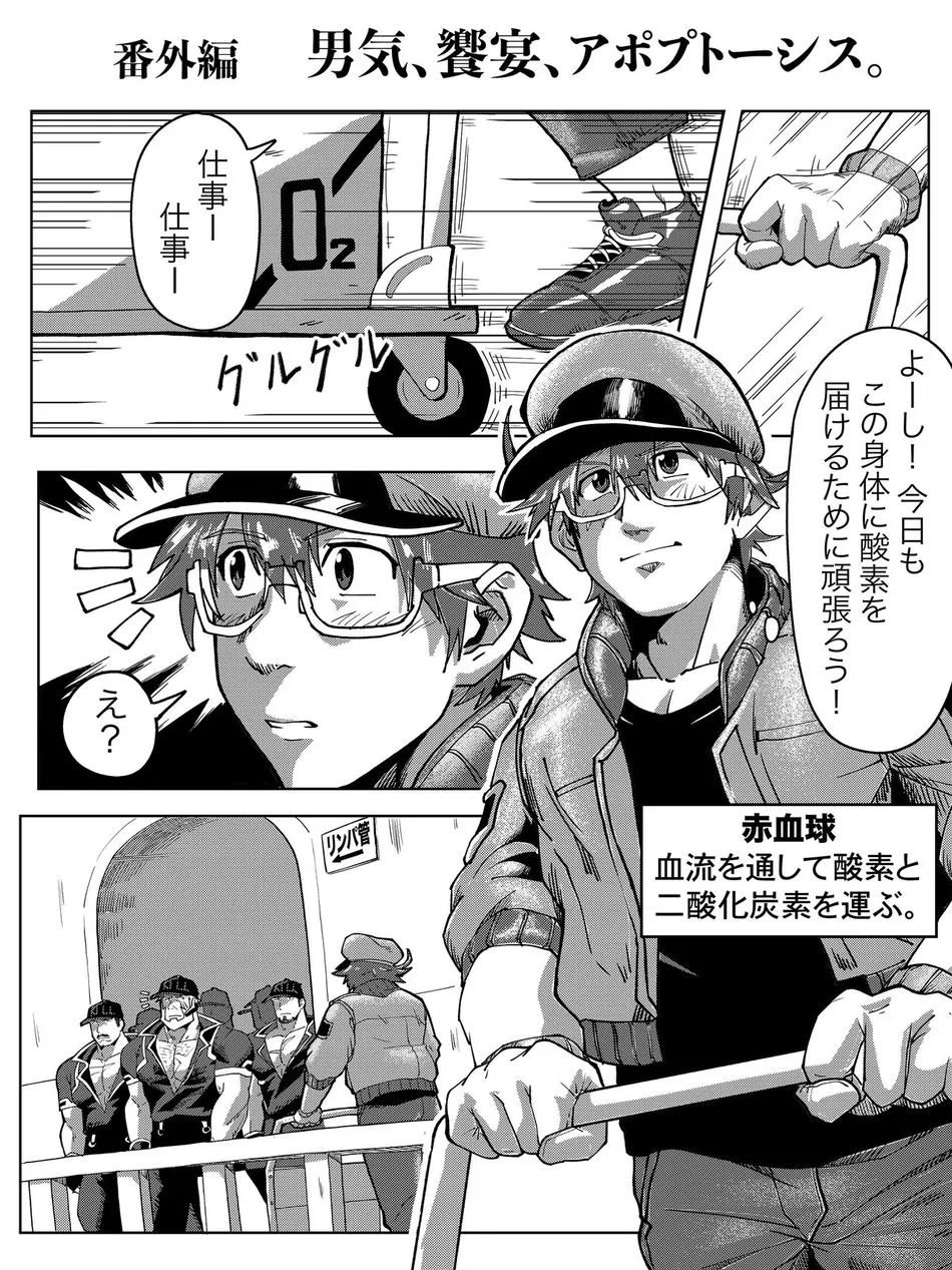 [HondaMuttsu] – Hataraku Saibou dj [JP] — 004
