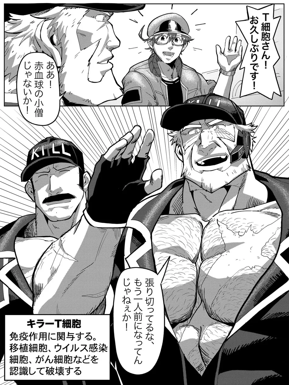 [HondaMuttsu] – Hataraku Saibou dj [JP] — 005