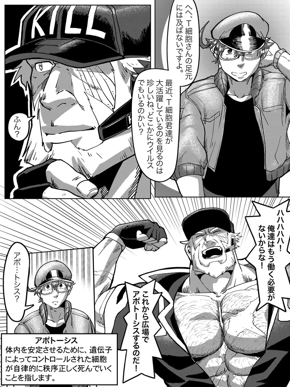 [HondaMuttsu] – Hataraku Saibou dj [JP] — 006