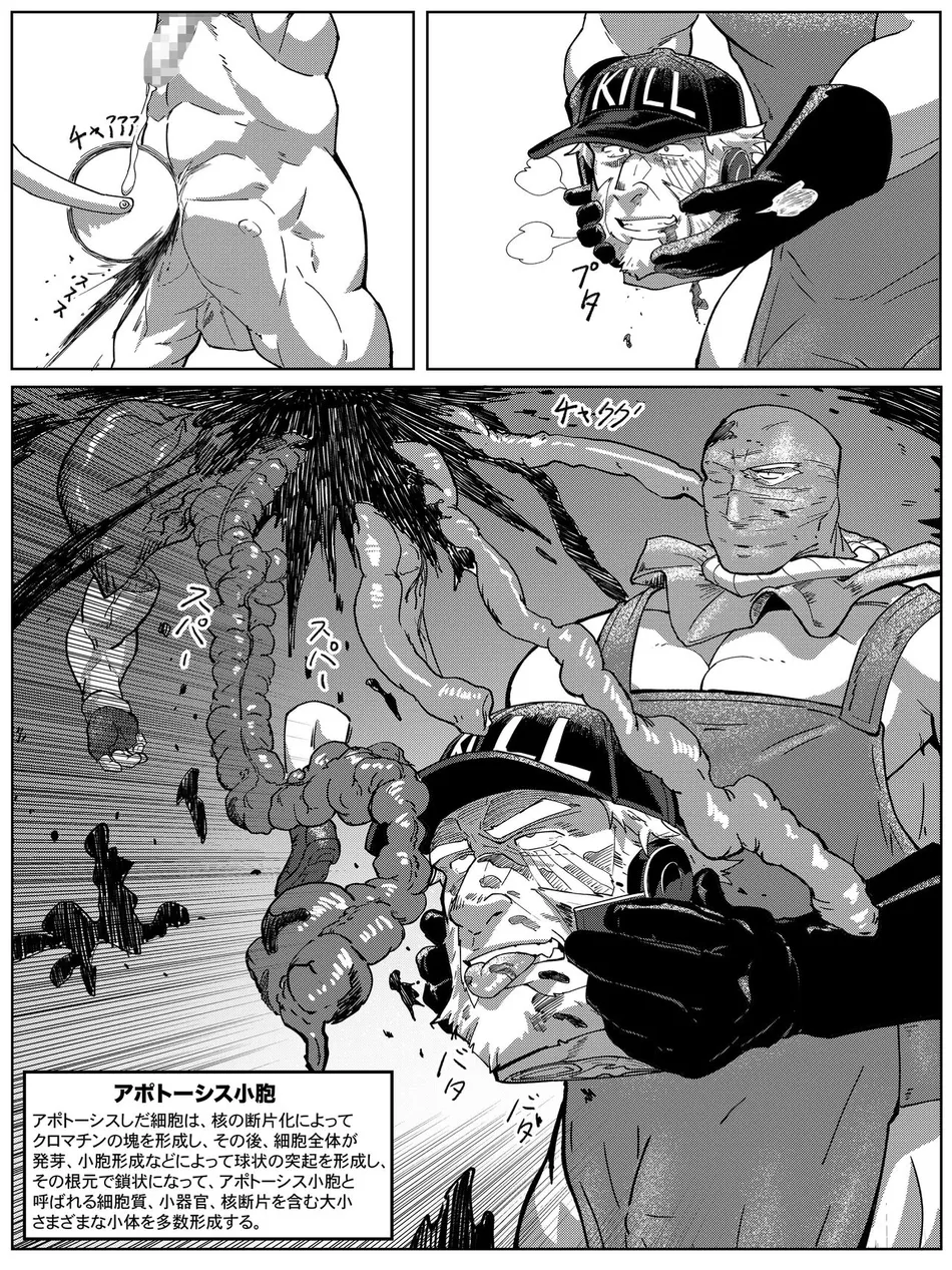 [HondaMuttsu] – Hataraku Saibou dj [JP] — 033