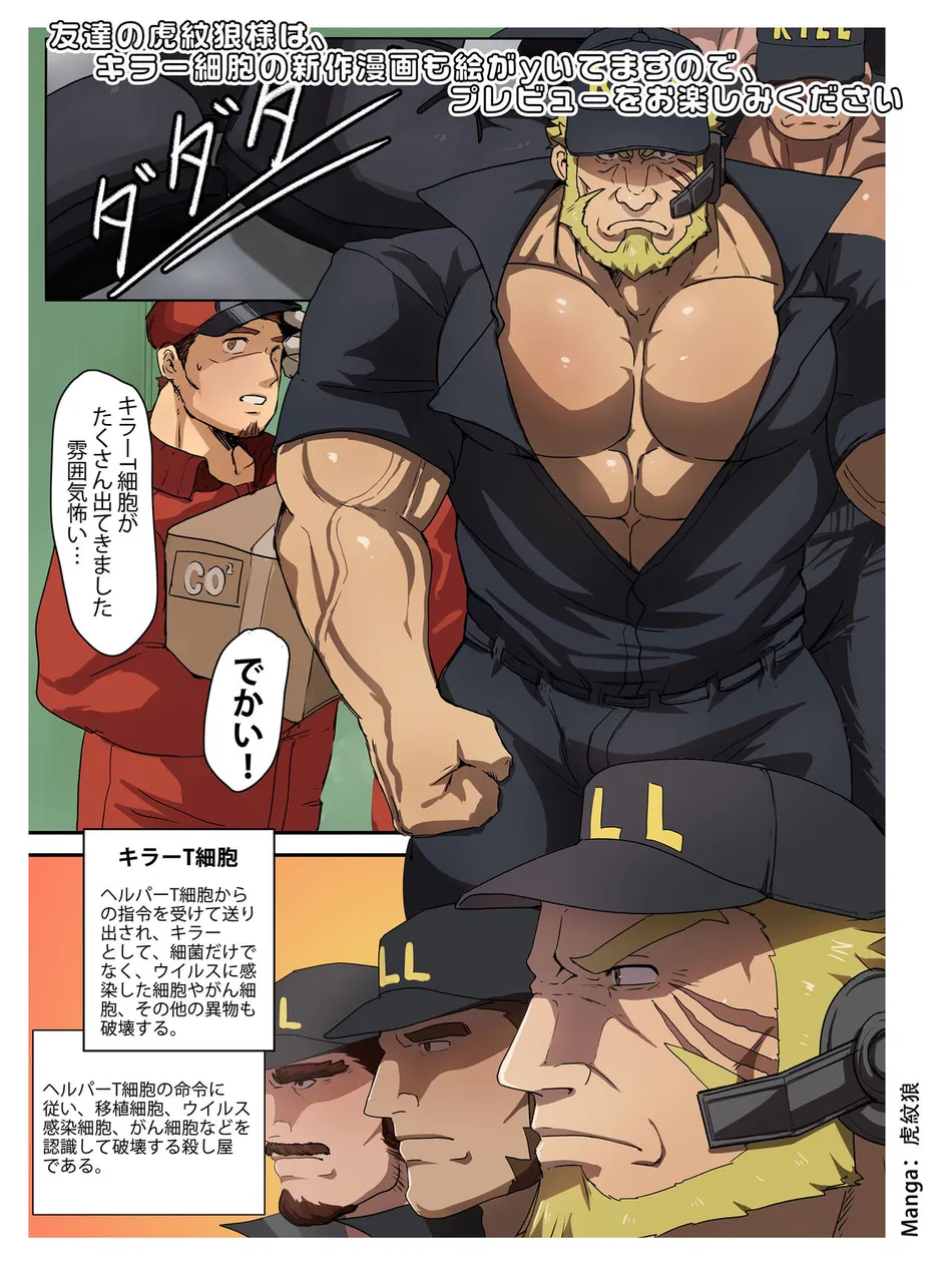 [HondaMuttsu] – Hataraku Saibou dj [JP] — 058