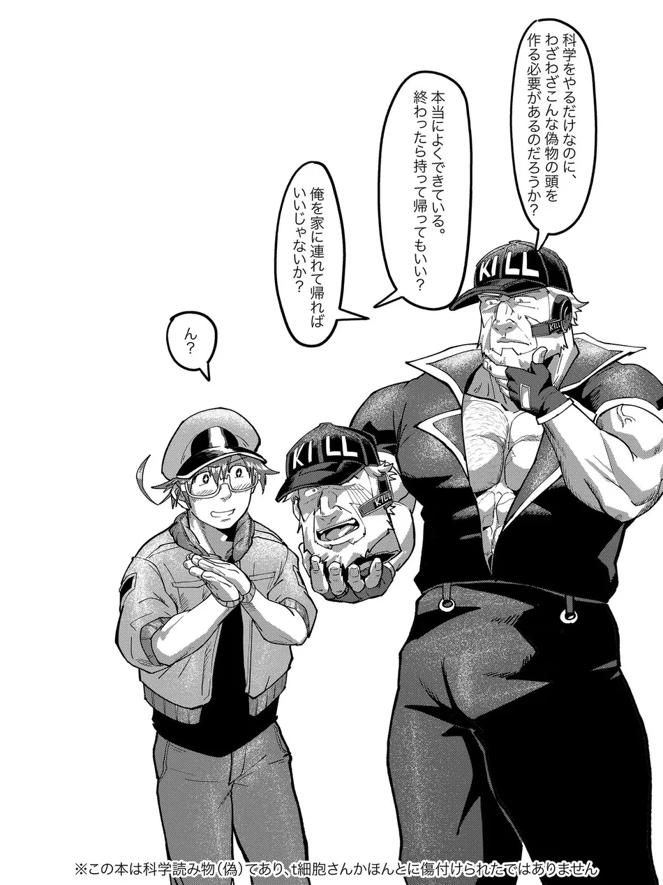 [HondaMuttsu] – Hataraku Saibou dj [JP] — 062